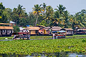 Kerala backwaters, travelling the neighborhood by public ferry service from  Alleppey to Kumbakonam. 